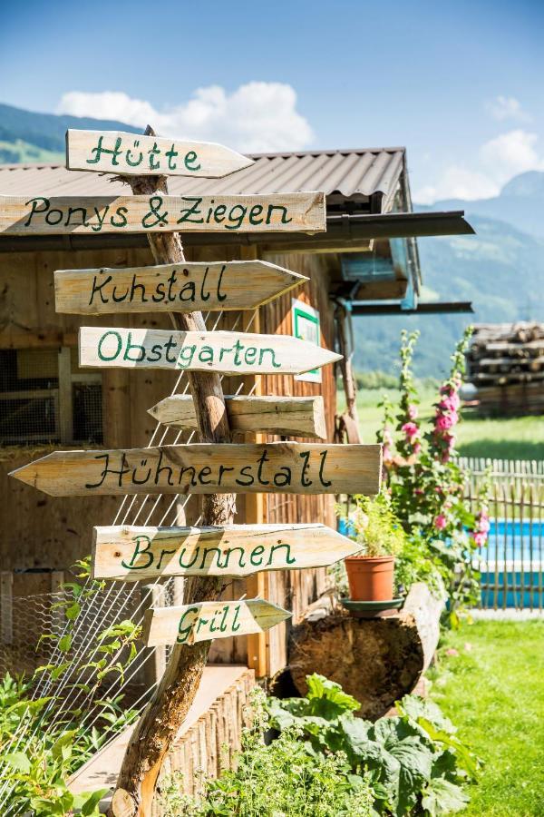 Aschau Im ZillertalMartlerhof公寓 外观 照片